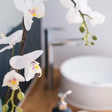 Saint Laurent - Appartement- Les Locations De Proust Apartment